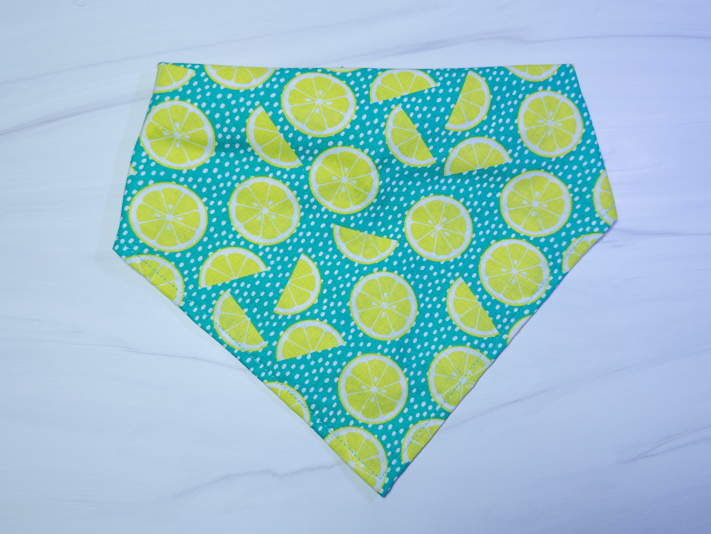 Teal Limes Dog Bandana - Ready to Ship