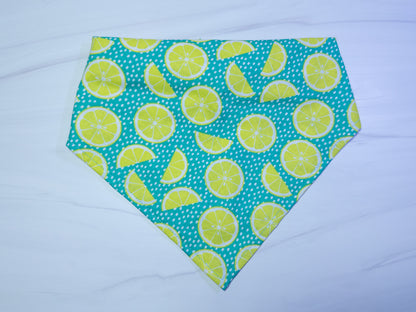 Teal Limes Dog Bandana - Ready to Ship